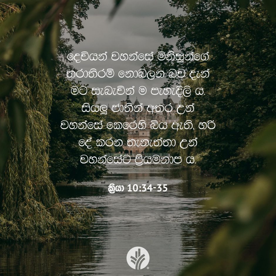 Share ODB 2026-01-19