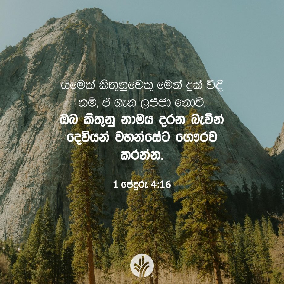 Share ODB 2026-01-20