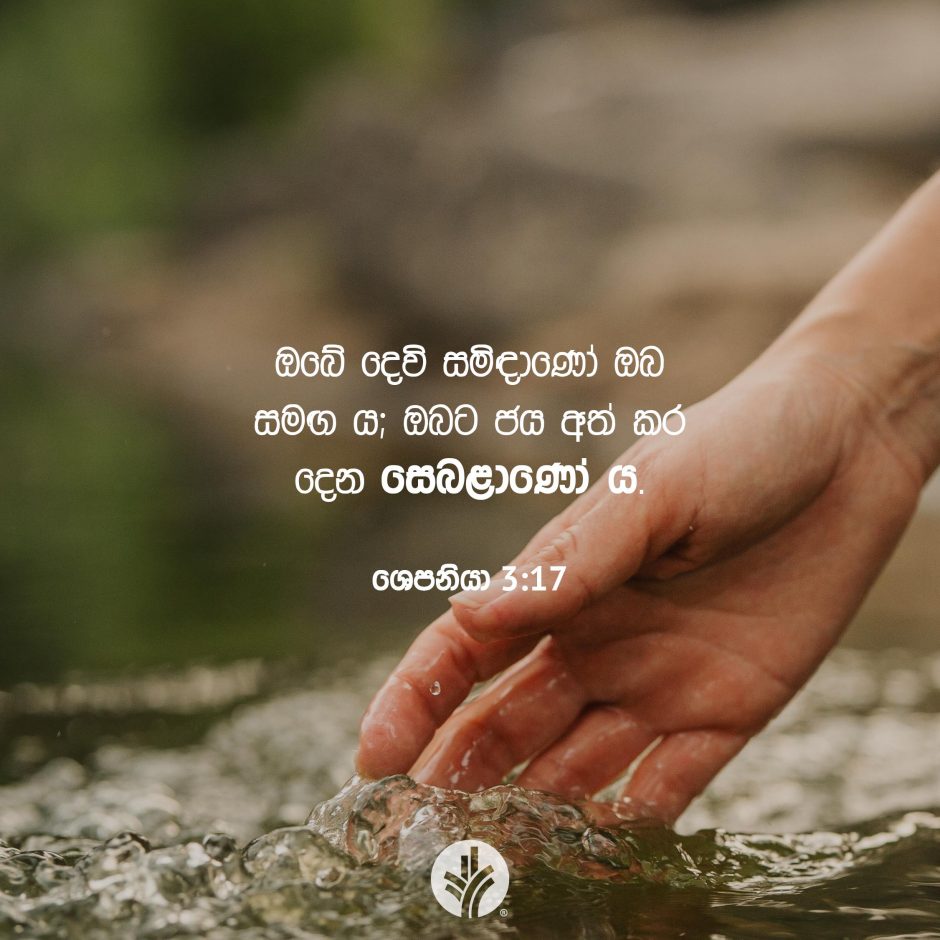 Share ODB 2026-01-24