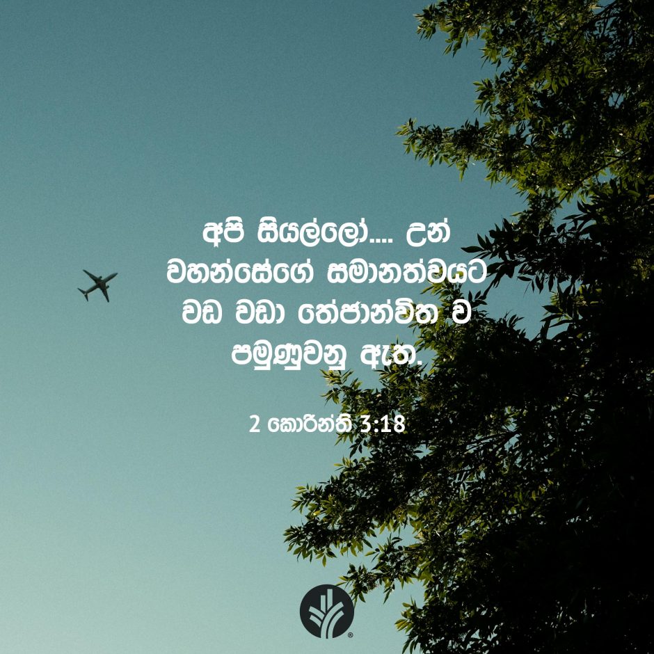 Share ODB 2026-01-25