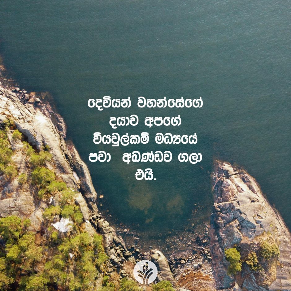 Share ODB 2026-01-26