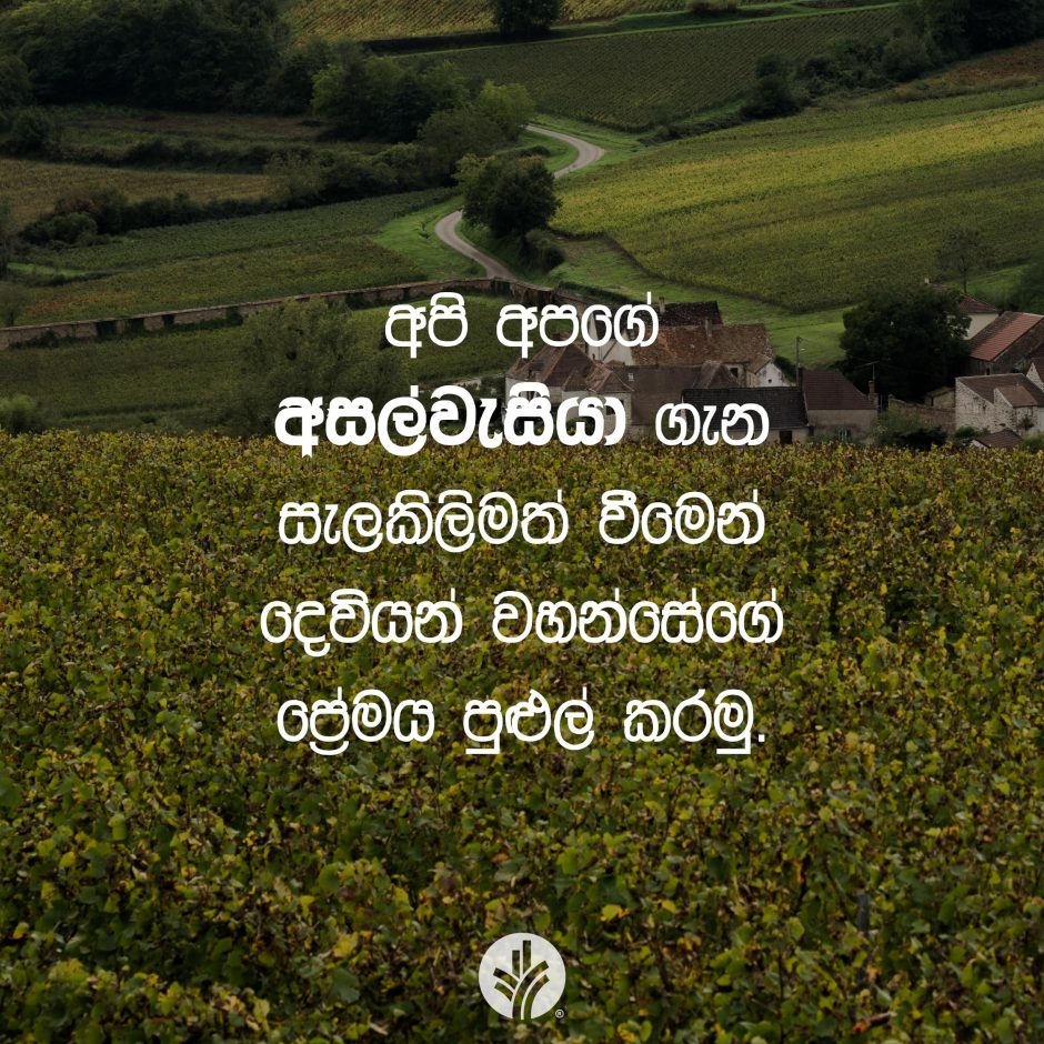 Share ODB 2026-01-28 Share ODB 2026-01-28