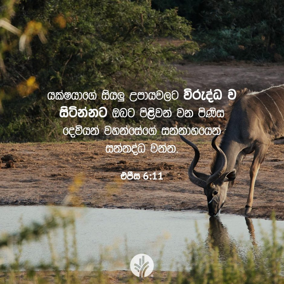 Share ODB 2026-01-29 Share ODB 2026-01-29