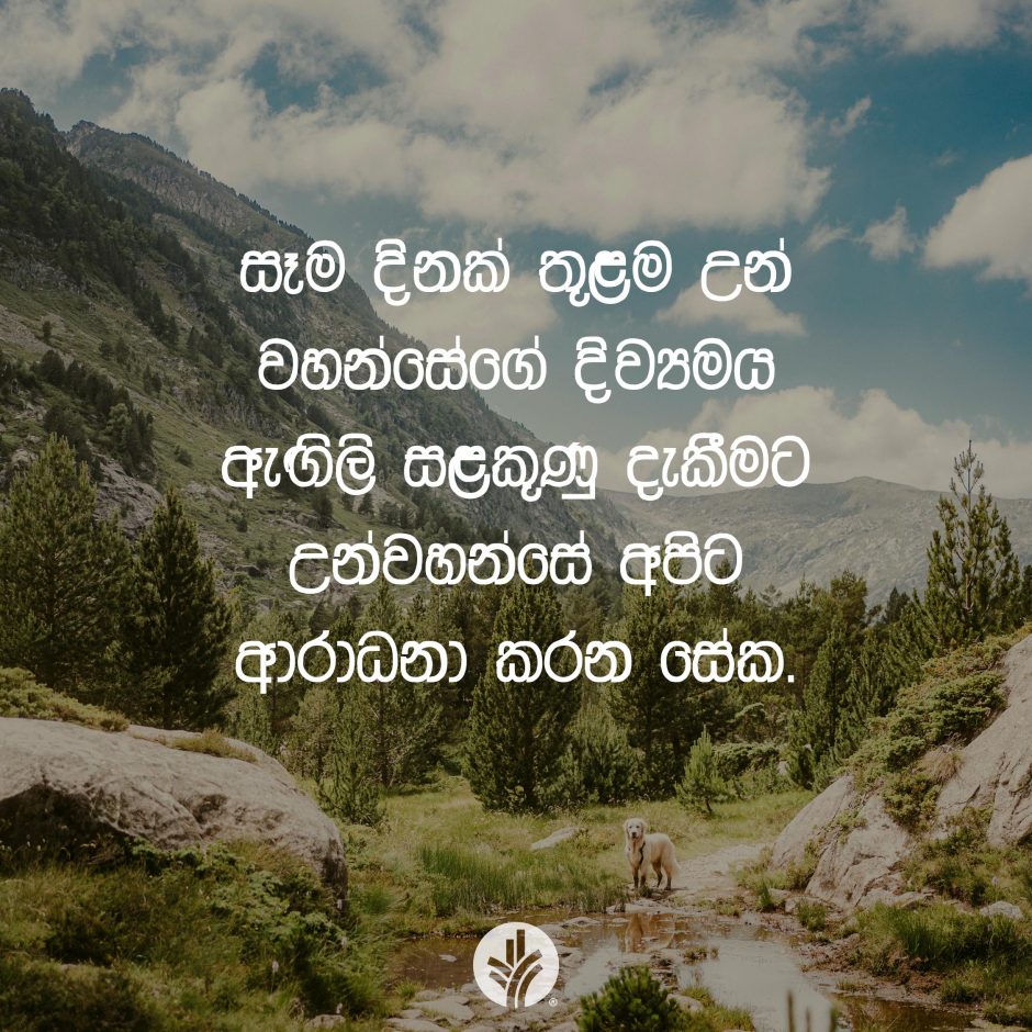 Share ODB 2026-01-30 Share ODB 2026-01-30