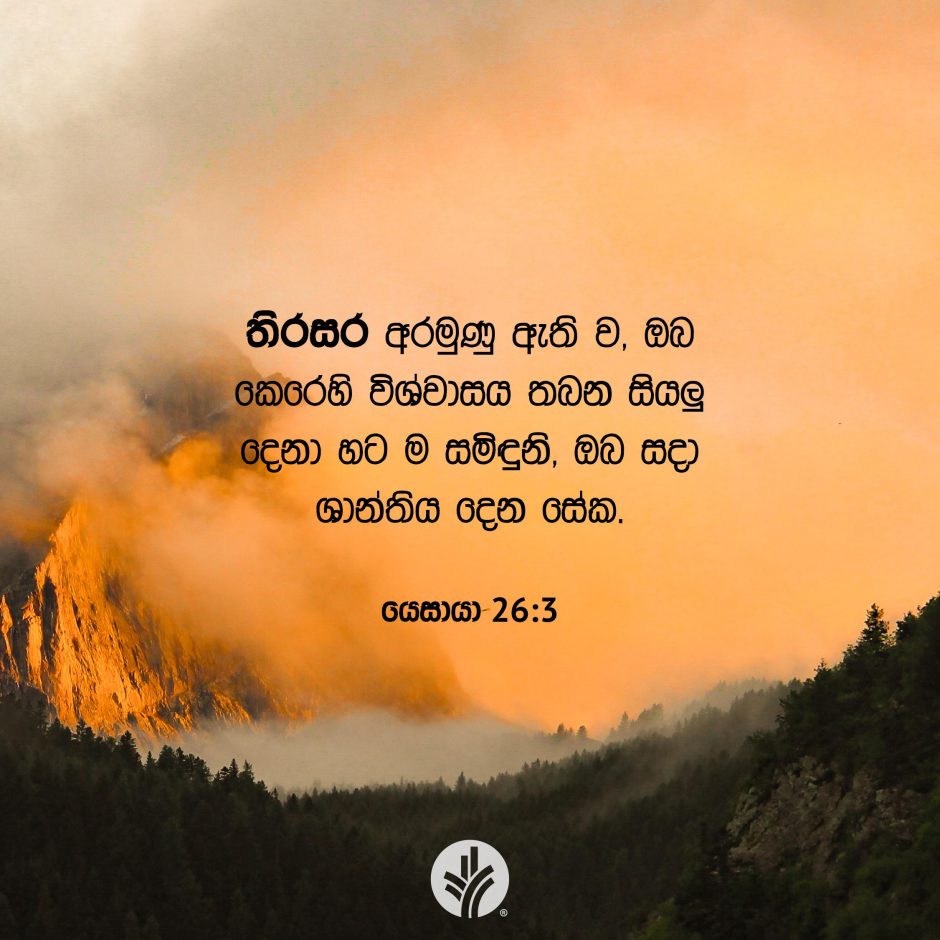 Share ODB 2026-01-31 Share ODB 2026-01-31