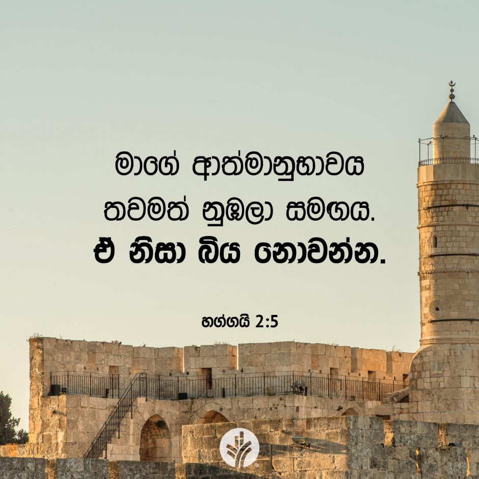 Share ODB 2026-02-03