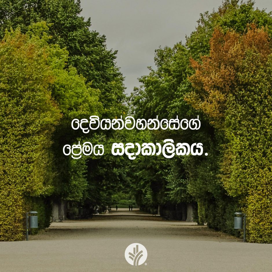 ODBM_SOCIAL-POST_20260214