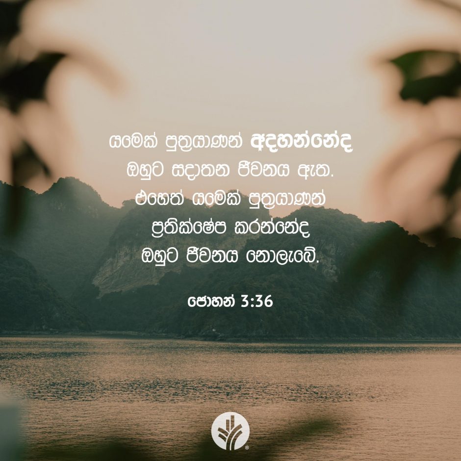 ODBM_SOCIAL-POST_20260217