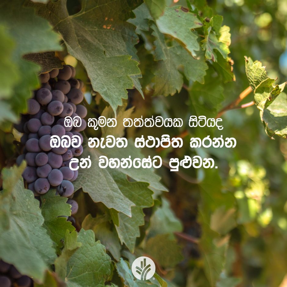 ODBM_SOCIAL-POST_20260218