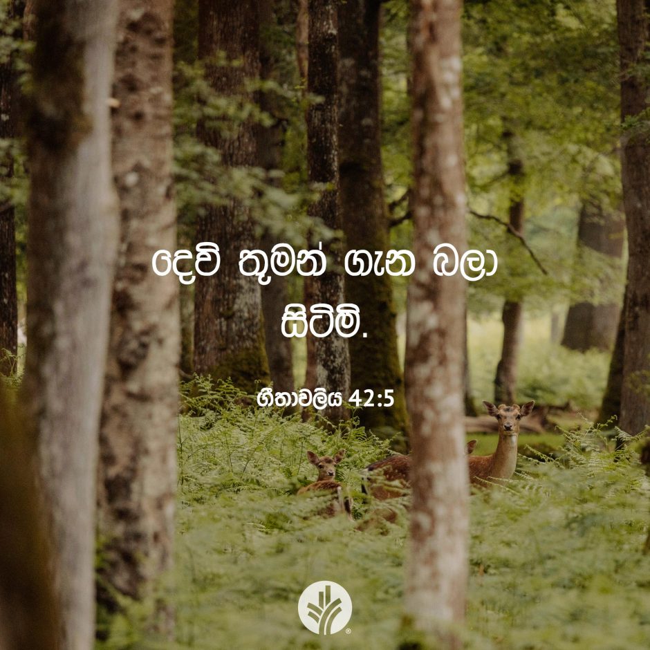 ODBM_SOCIAL-POST_20260221