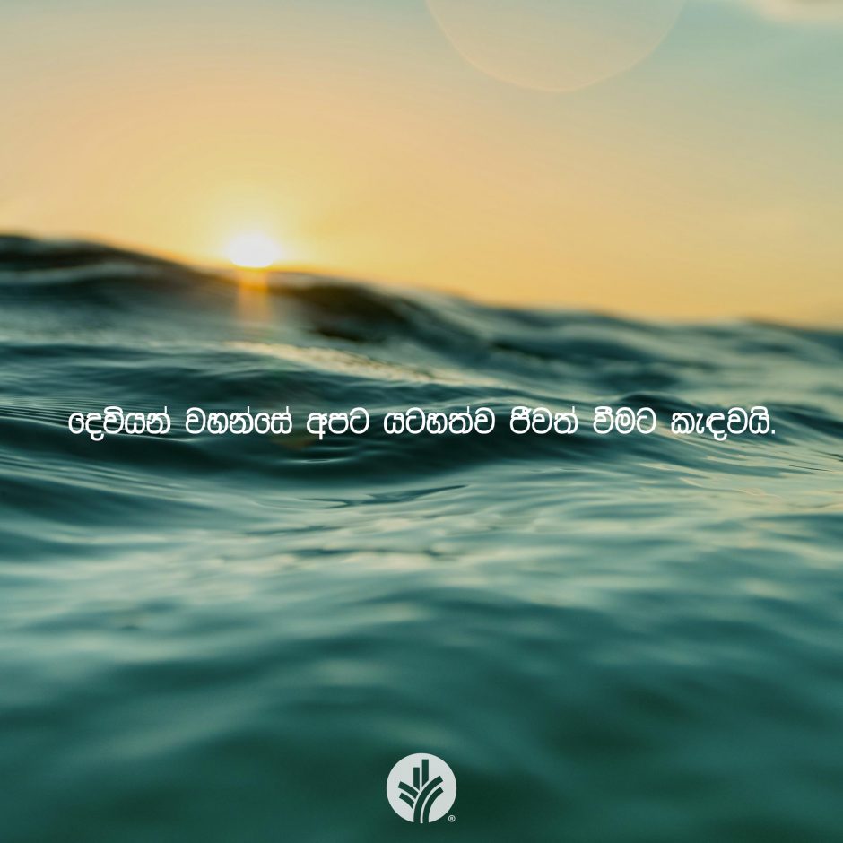 ODBM_SOCIAL-POST_20260223