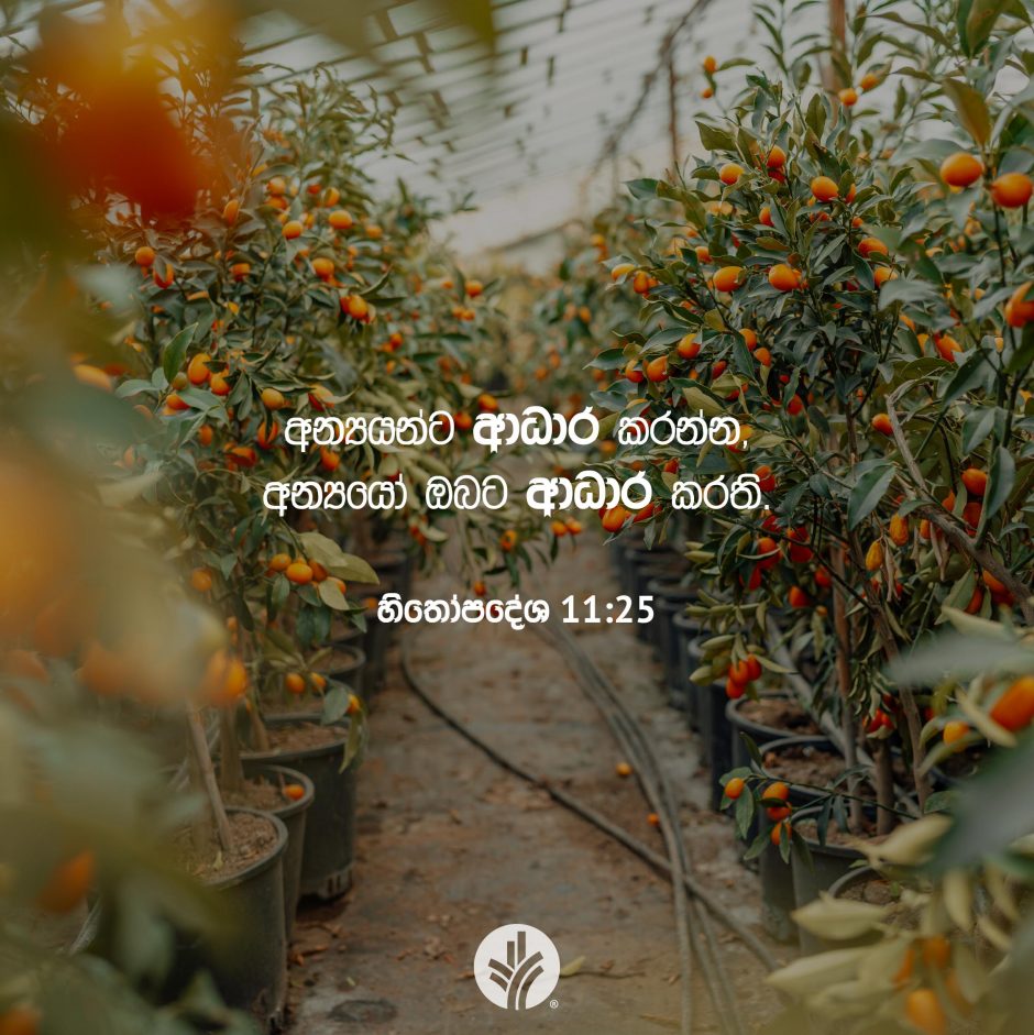 ODBM_SOCIAL-POST_20260302