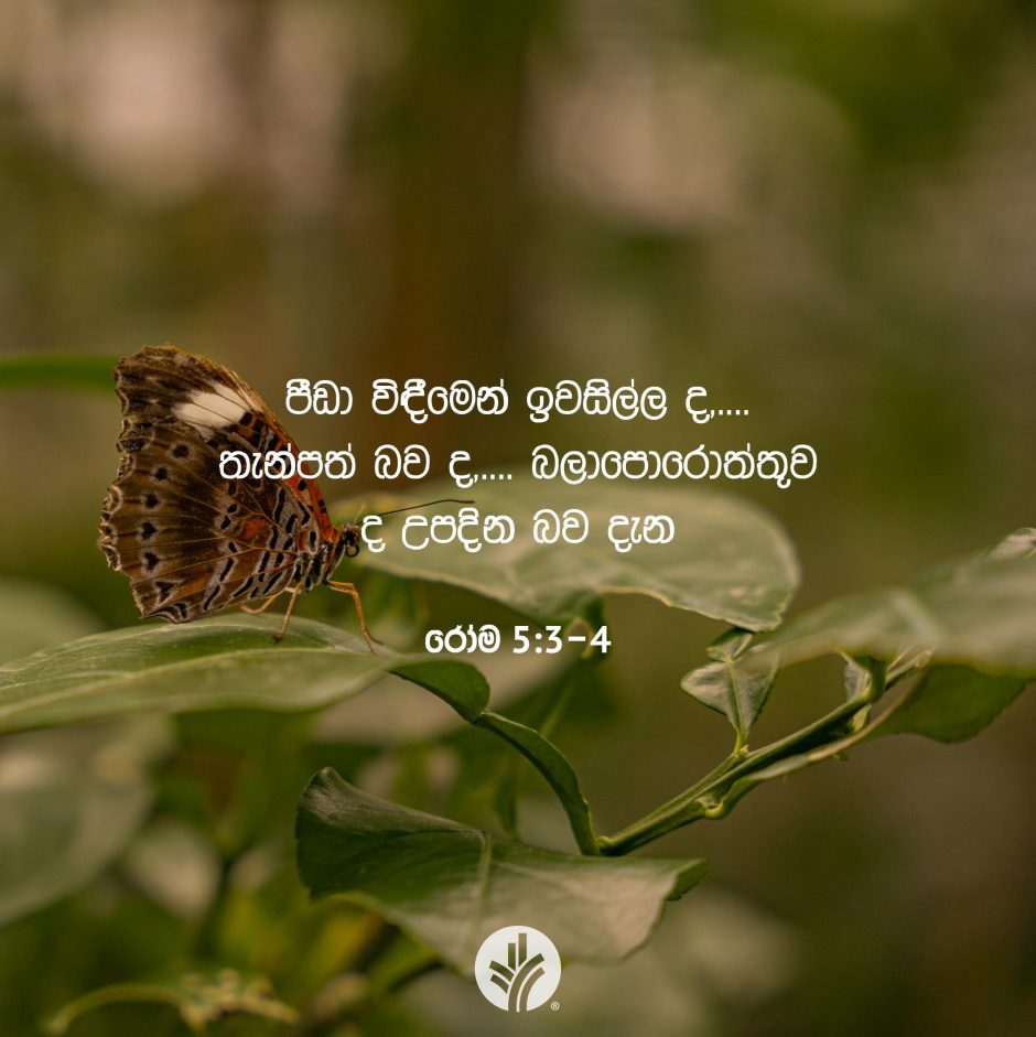 ODBM_SOCIAL-POST_20260305