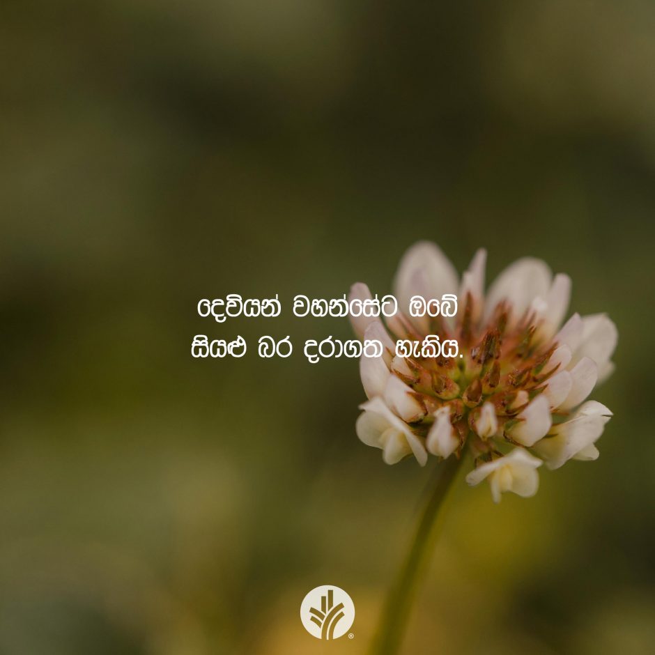 ODBM_SOCIAL-POST_20260321