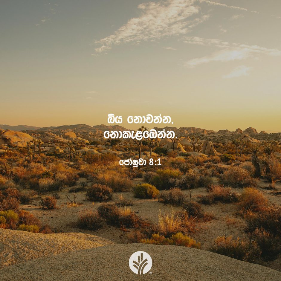 ODBM_SOCIAL-POST_20260324