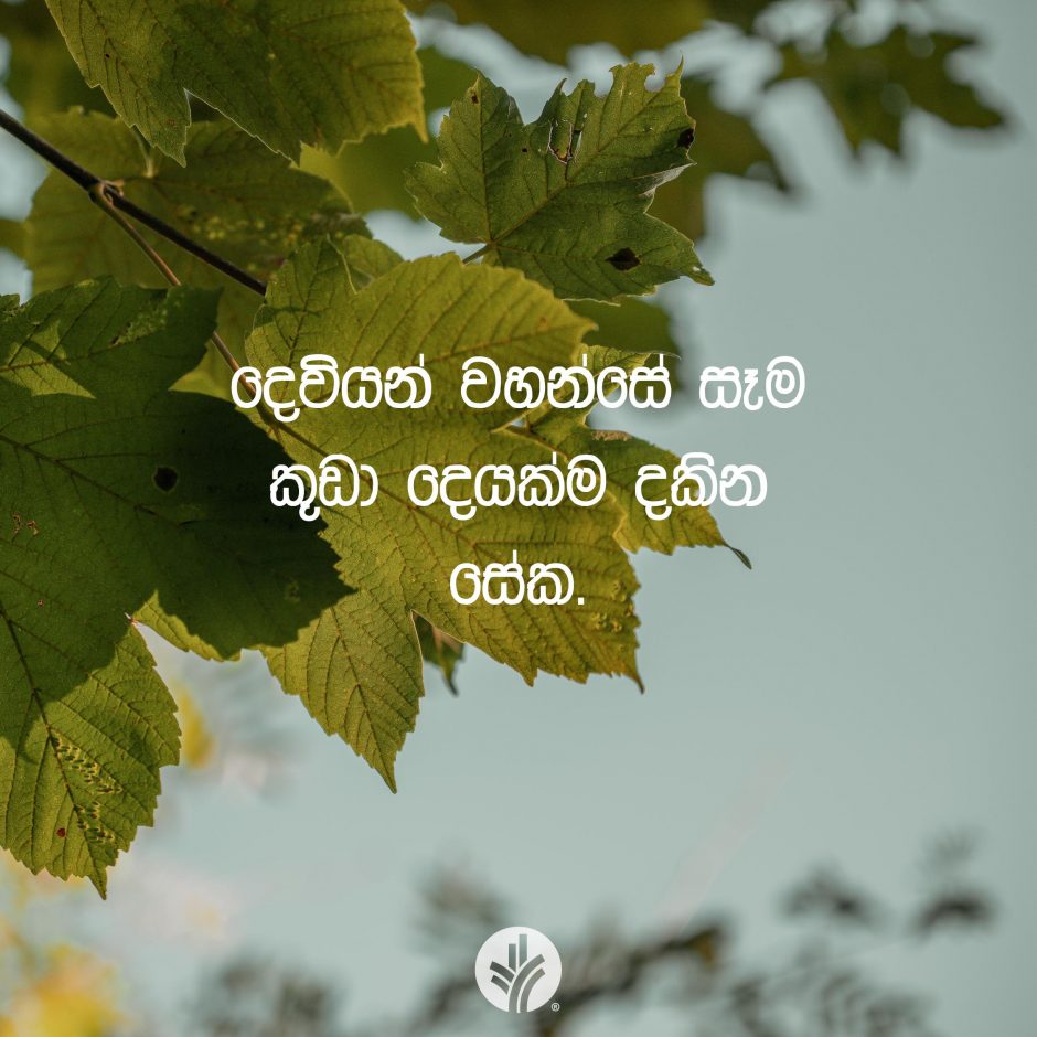 ODBM_SOCIAL-POST_20260327