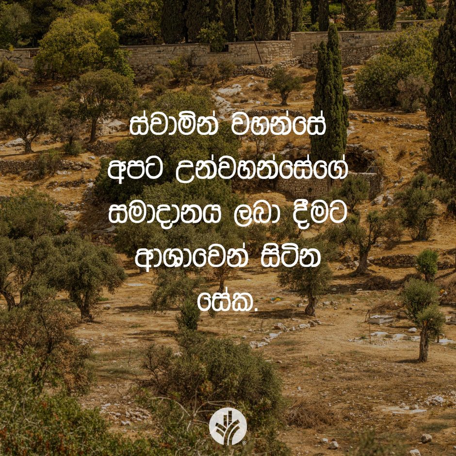 ODBM_SOCIAL-POST_20260329