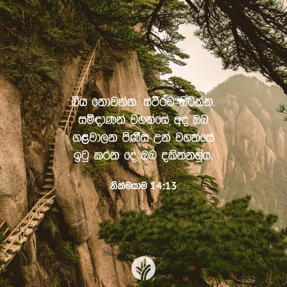 ODBM_SOCIAL-POST_20260331