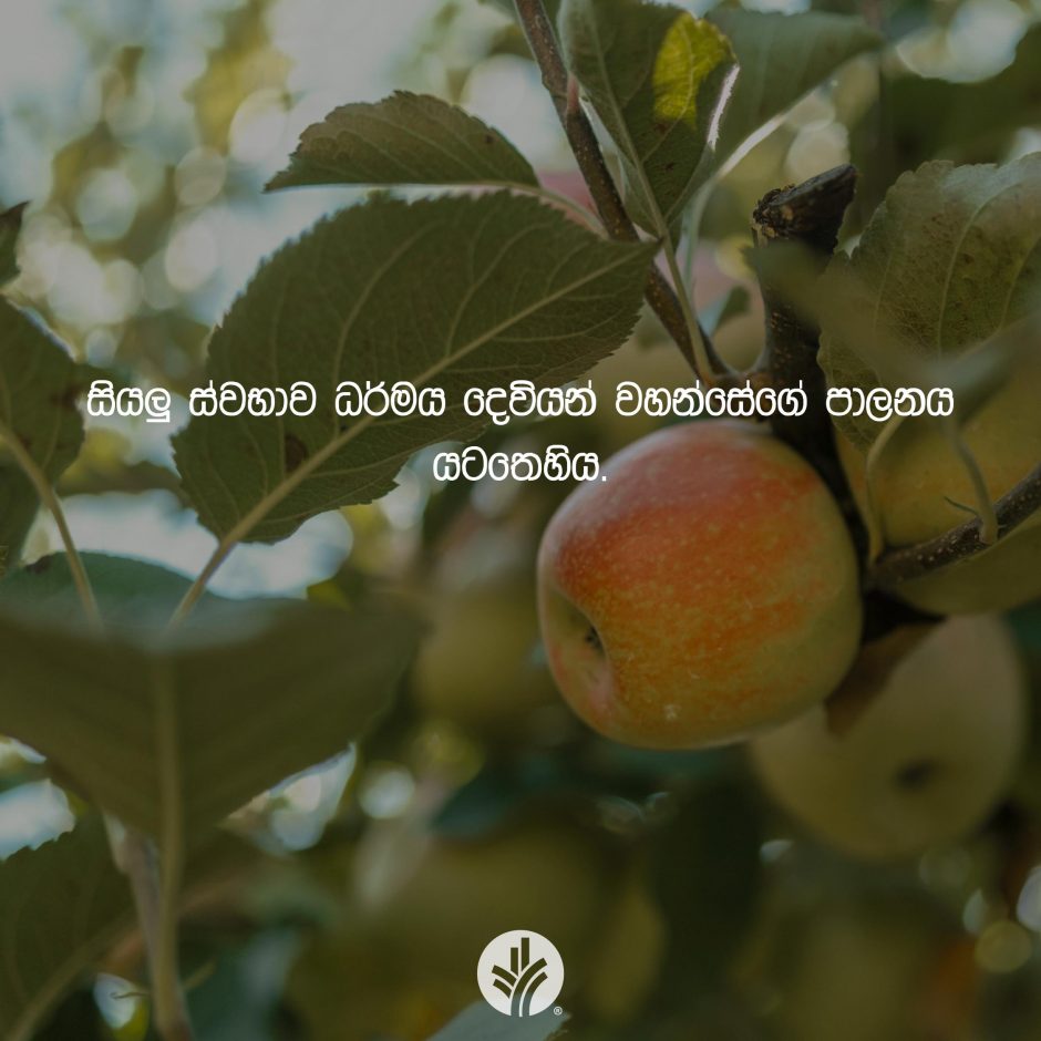 ODBM_SOCIAL-POST_20260414