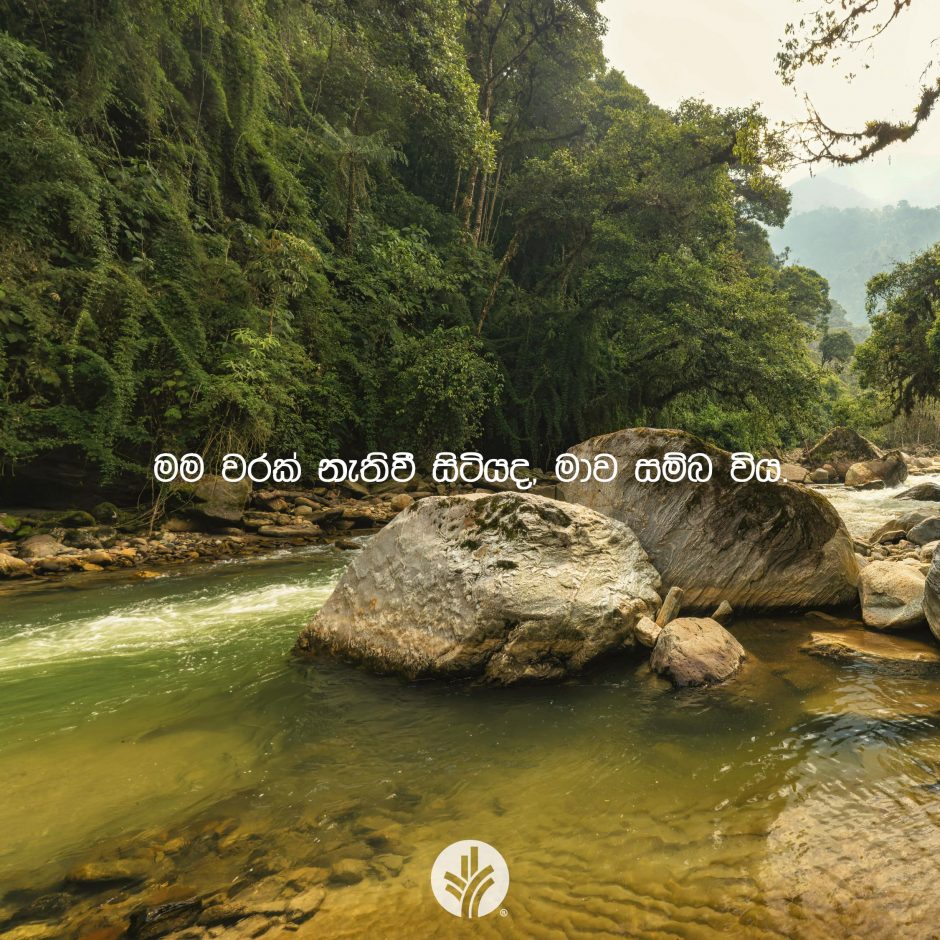 ODBM_SOCIAL-POST_20260421