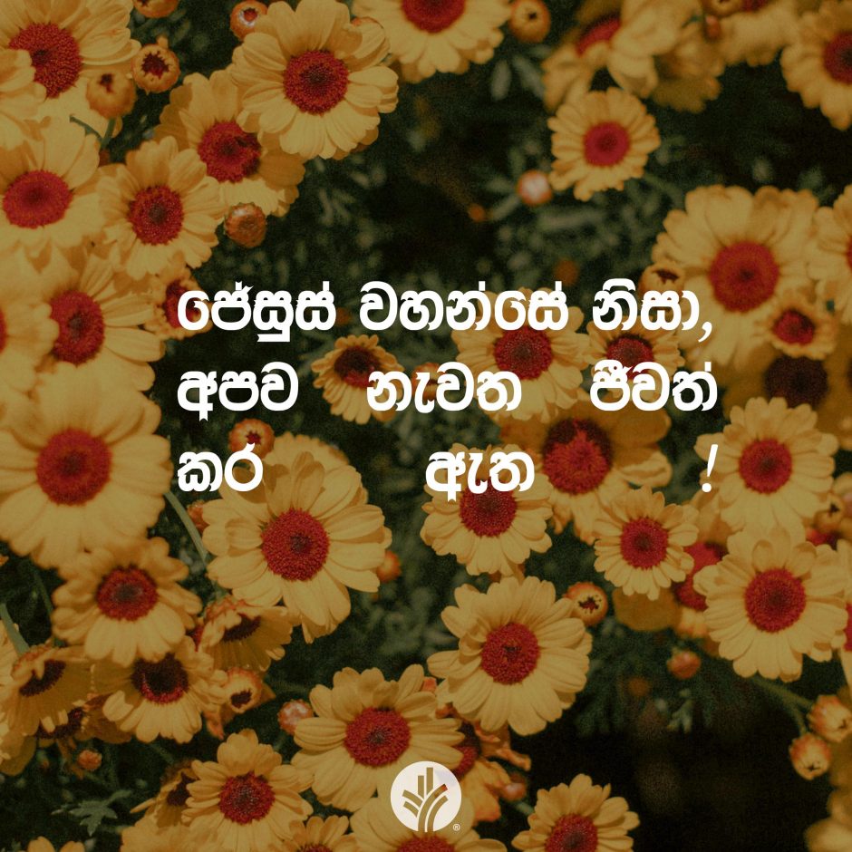 ODBM_SOCIAL-POST_20260505