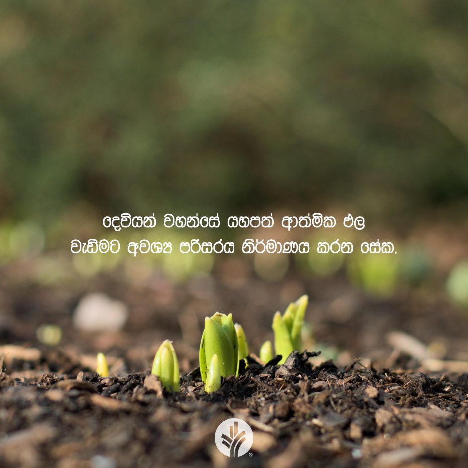 ODBM_SOCIAL-POST_20260514