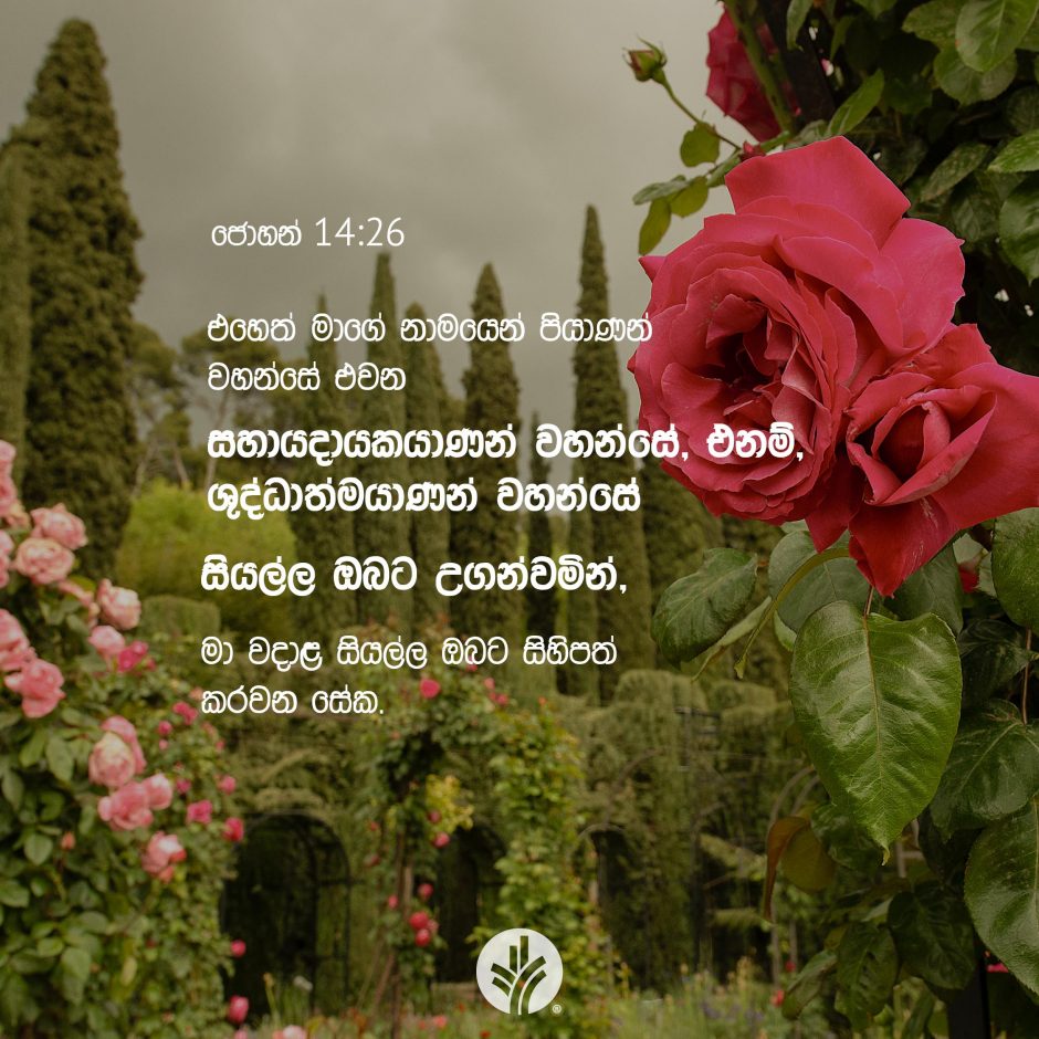 ODBM_SOCIAL-POST_20260524