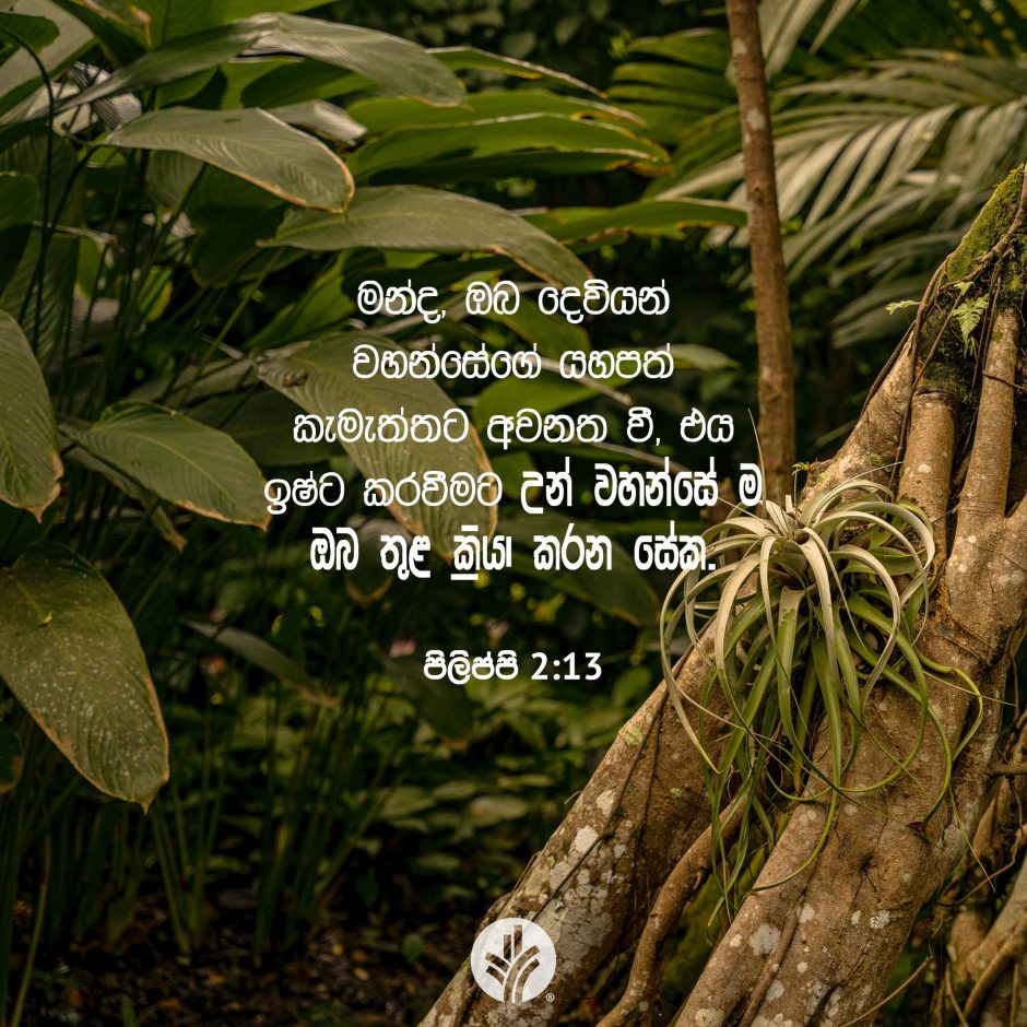 ODBM_SOCIAL-POST_20260602