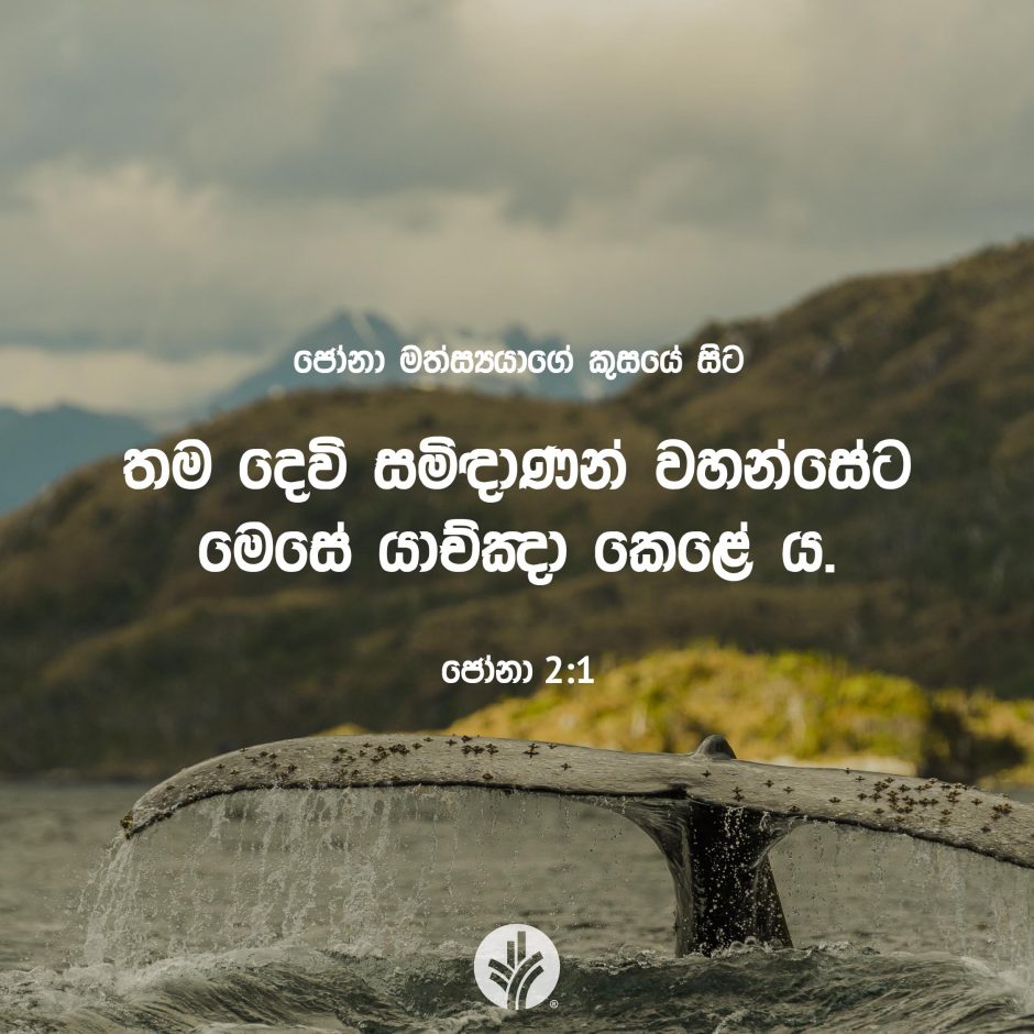ODBM_SOCIAL-POST_20260605