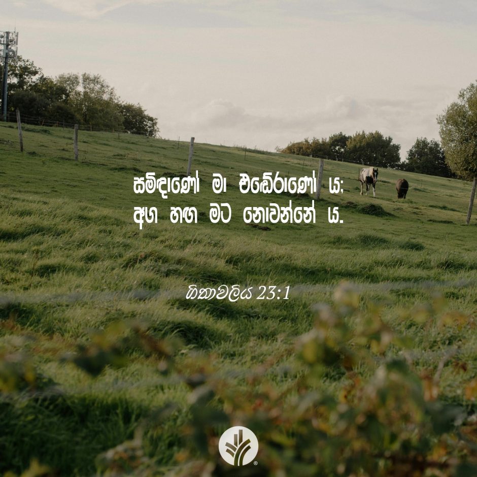 ODBM_SOCIAL-POST_20260606