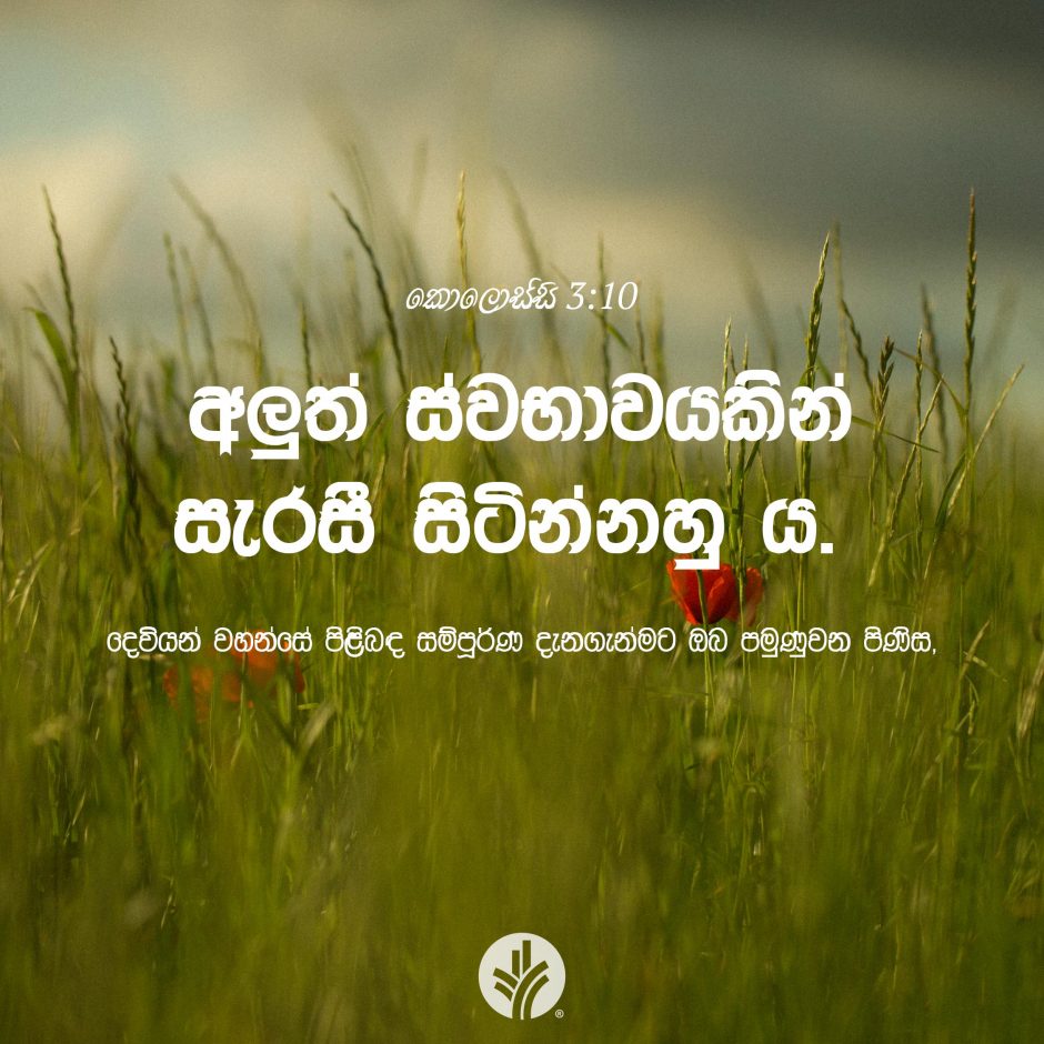 ODBM_SOCIAL-POST_20260623