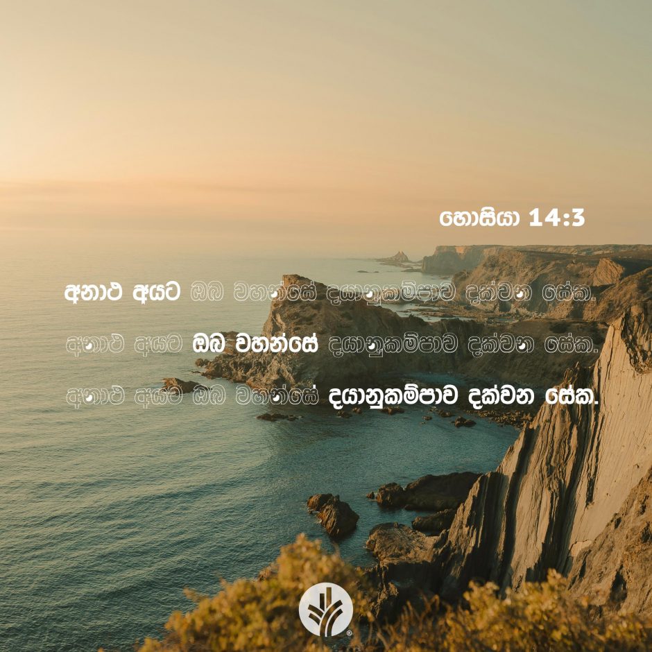 ODBM_SOCIAL-POST_20260625