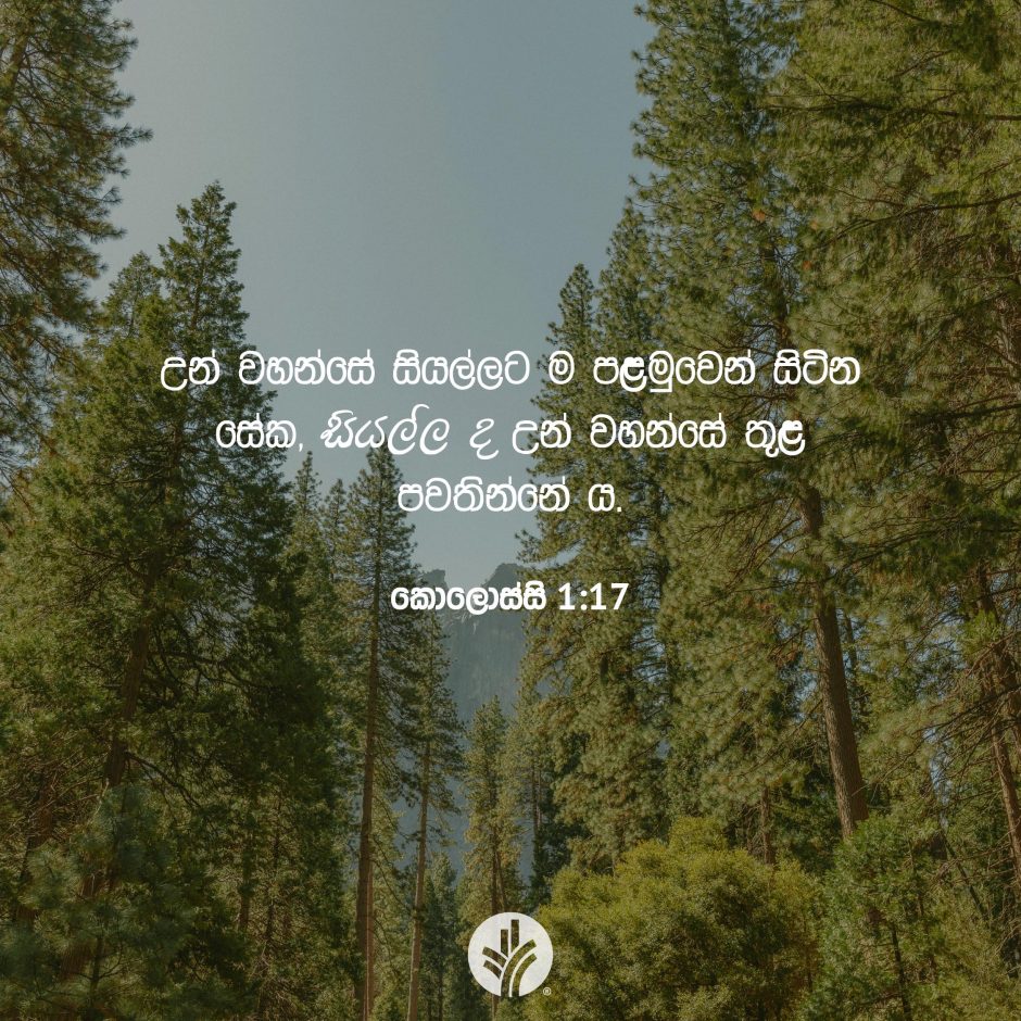 ODBM_SOCIAL-POST_20260627