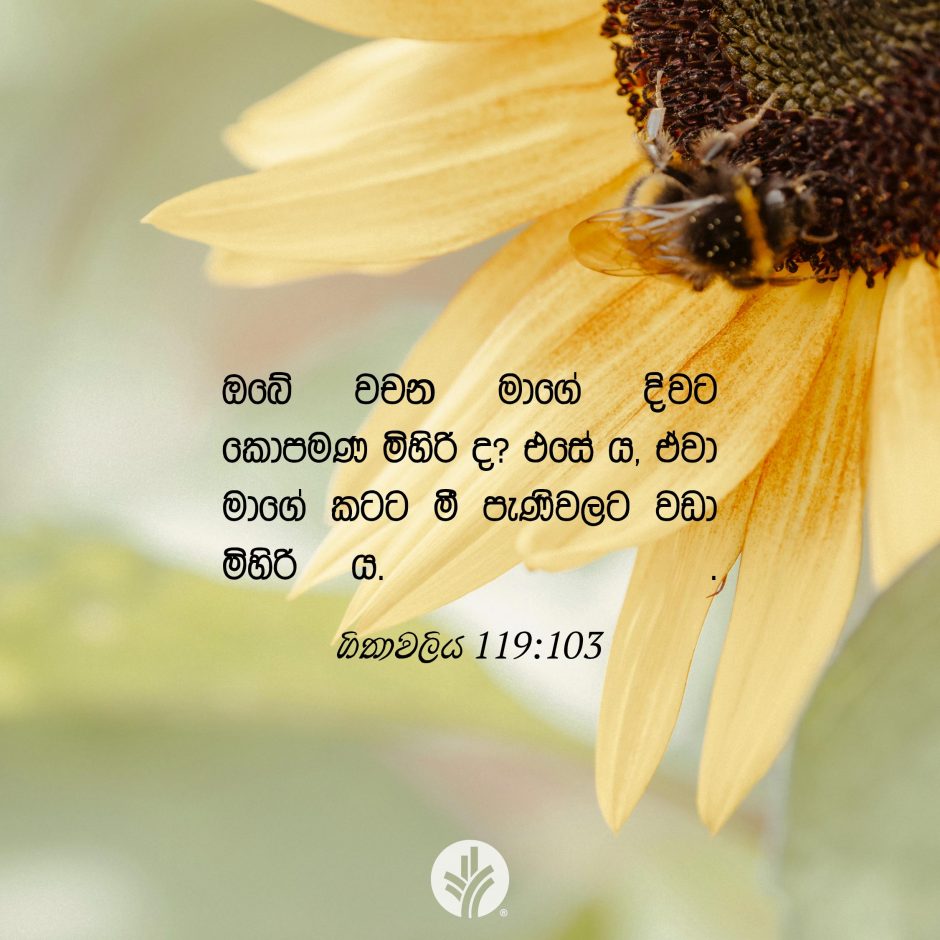 ODBM_SOCIAL-POST_20260628