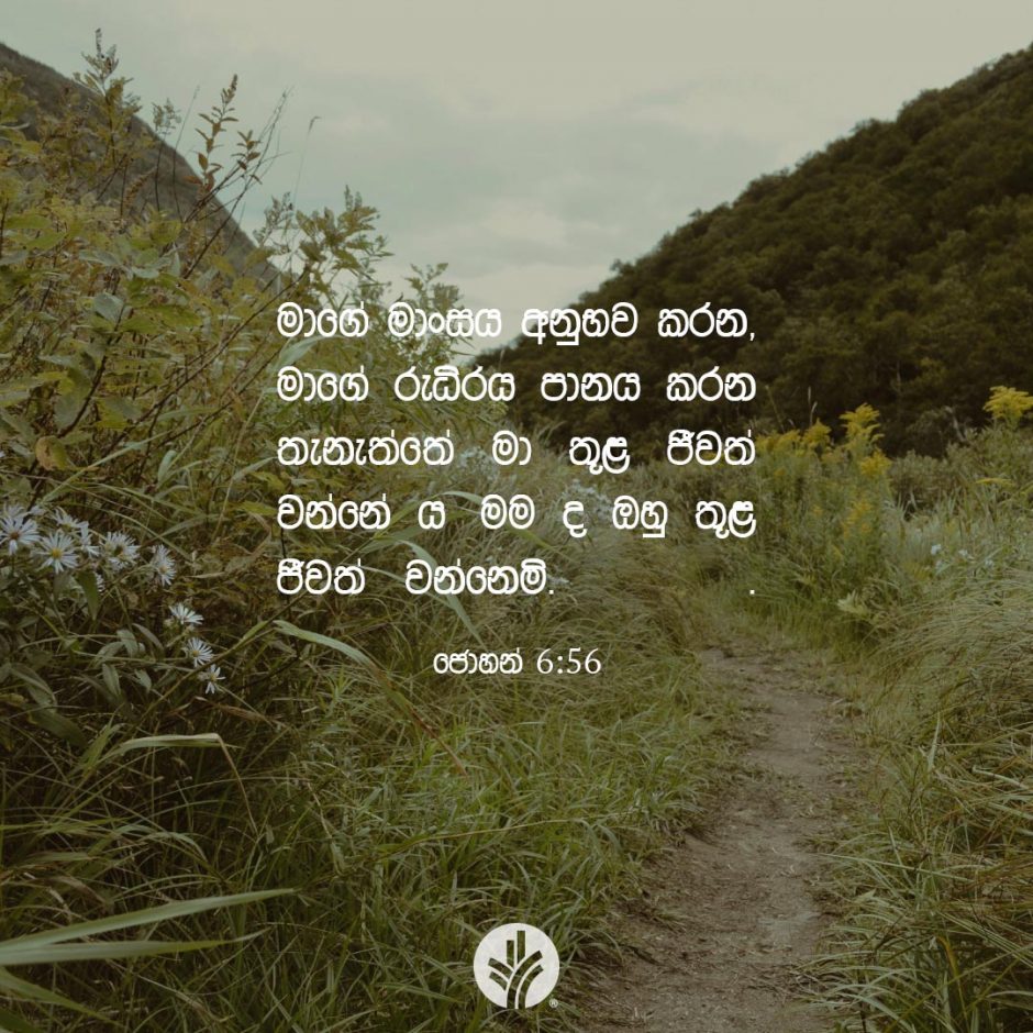 ODBM_SOCIAL-POST_20260701