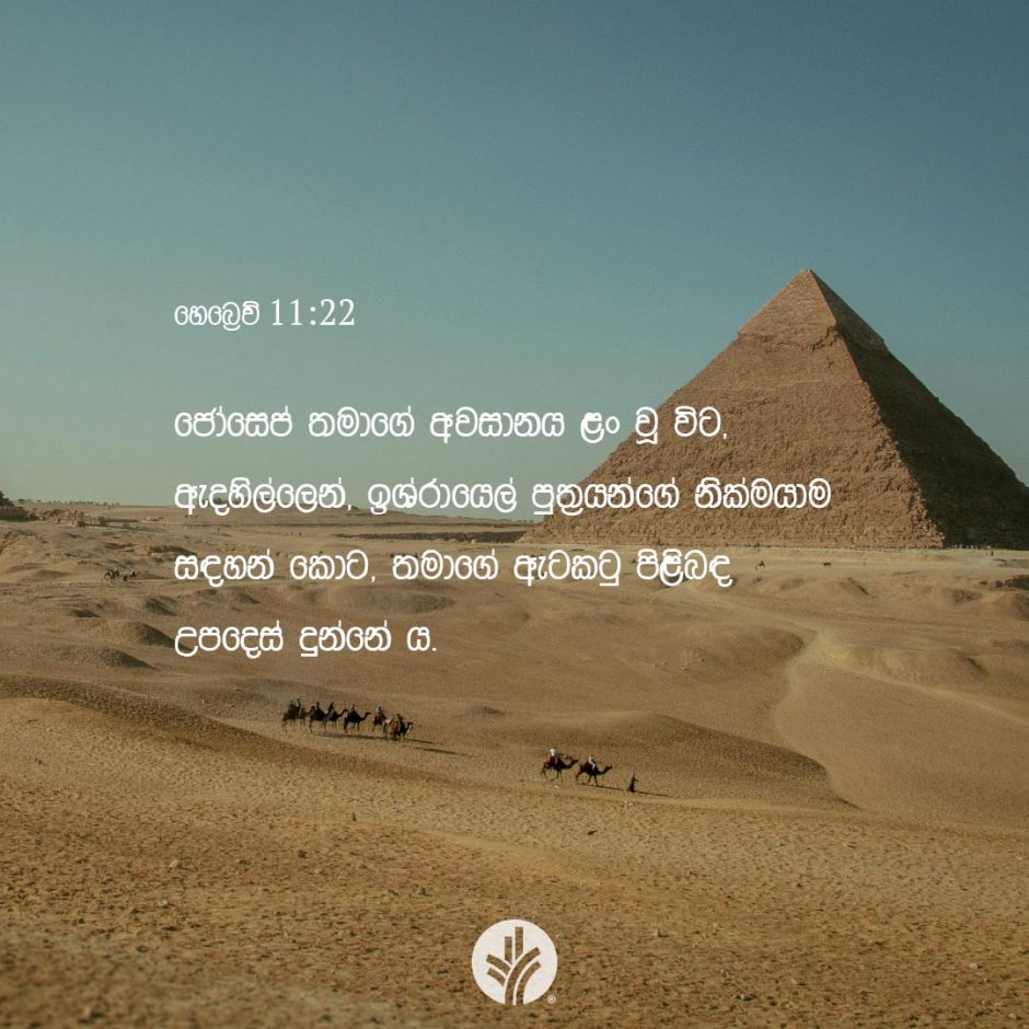 ODBM_SOCIAL-POST_20260712