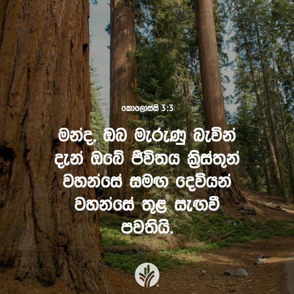 ODBM_SOCIAL-POST_20260730