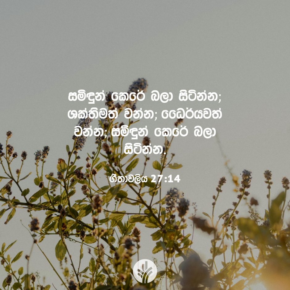 ODBM_SOCIAL-POST_20260803