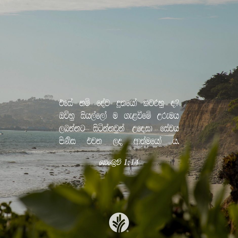 ODBM_SOCIAL-POST_20260804
