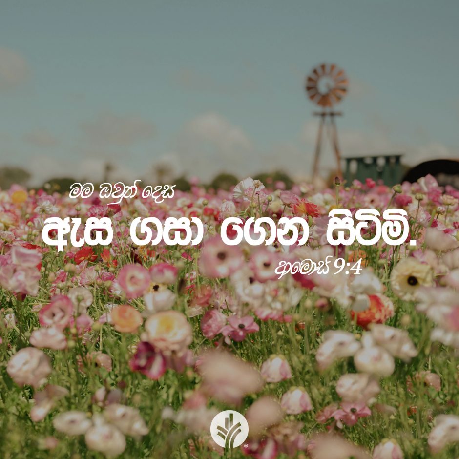 ODBM_SOCIAL-POST_20260825