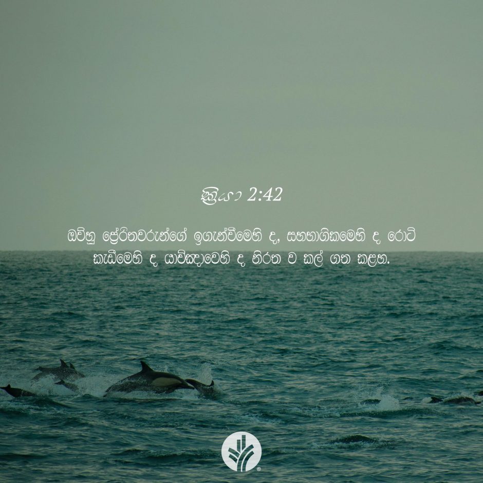 ODBM_SOCIAL-POST_20260901