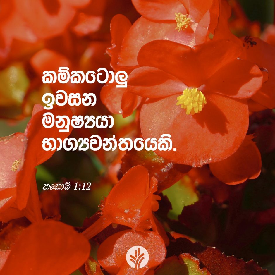 ODBM_SOCIAL-POST_20260912